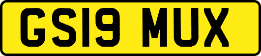 GS19MUX