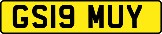 GS19MUY
