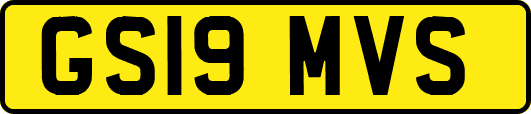 GS19MVS