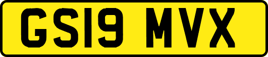 GS19MVX
