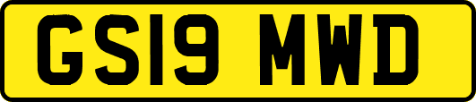GS19MWD