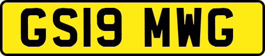 GS19MWG