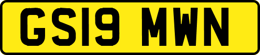 GS19MWN