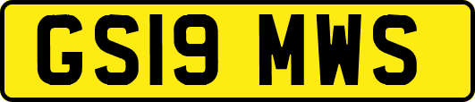 GS19MWS