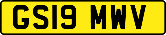 GS19MWV