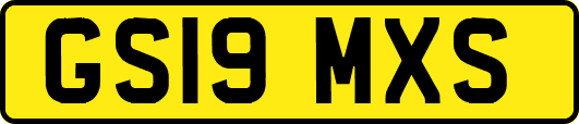 GS19MXS