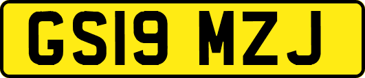 GS19MZJ