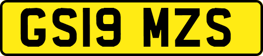GS19MZS