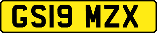 GS19MZX