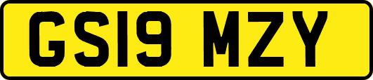GS19MZY