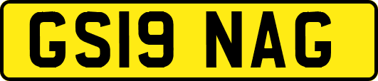 GS19NAG