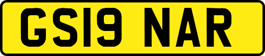 GS19NAR