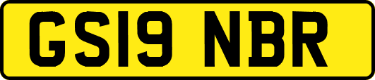 GS19NBR