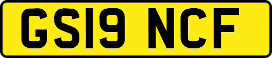 GS19NCF