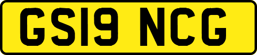 GS19NCG