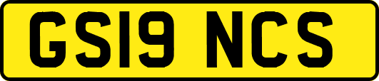 GS19NCS