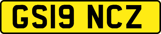 GS19NCZ