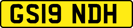 GS19NDH