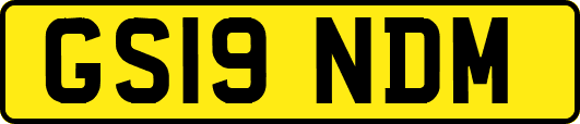 GS19NDM