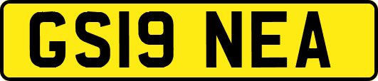GS19NEA