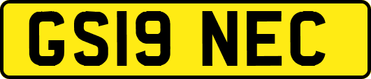 GS19NEC