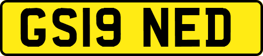 GS19NED