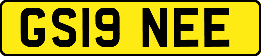GS19NEE