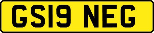 GS19NEG