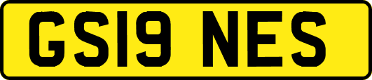 GS19NES
