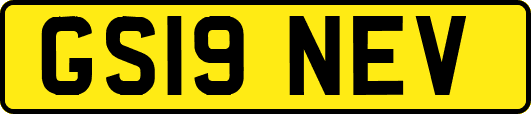 GS19NEV
