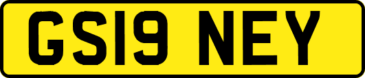 GS19NEY