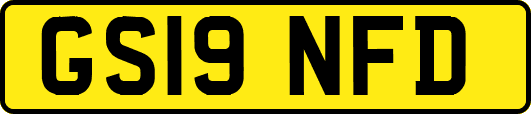 GS19NFD
