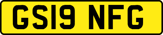 GS19NFG