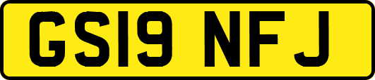 GS19NFJ