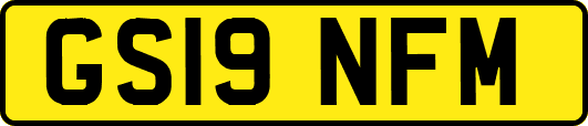 GS19NFM