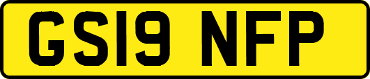 GS19NFP