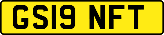 GS19NFT