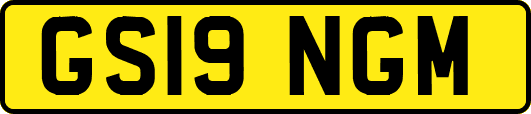 GS19NGM