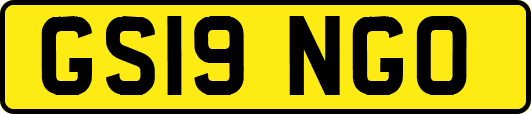 GS19NGO
