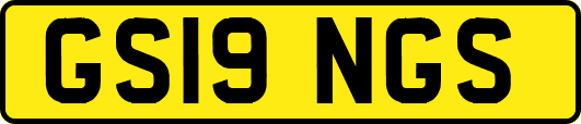 GS19NGS