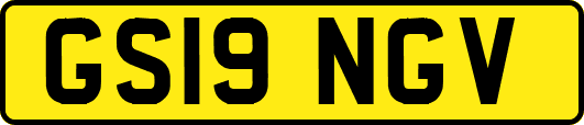 GS19NGV