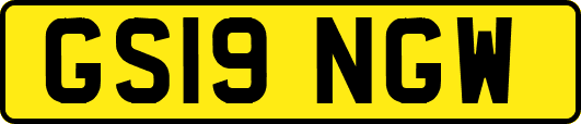 GS19NGW
