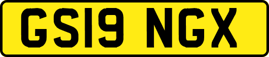 GS19NGX