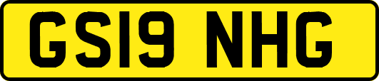 GS19NHG
