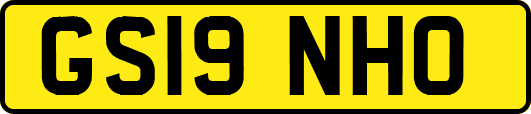 GS19NHO