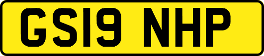GS19NHP