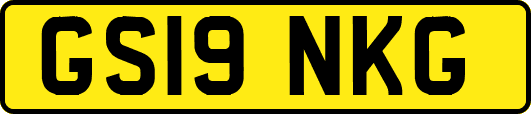 GS19NKG