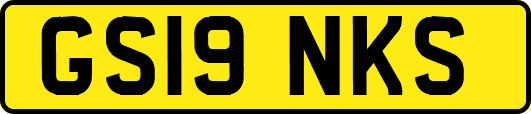 GS19NKS