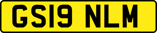 GS19NLM
