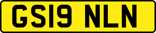 GS19NLN
